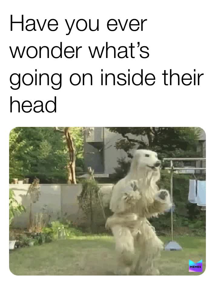 # #Wonder