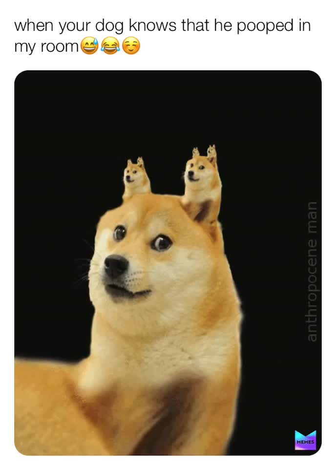#poooooooppppp
