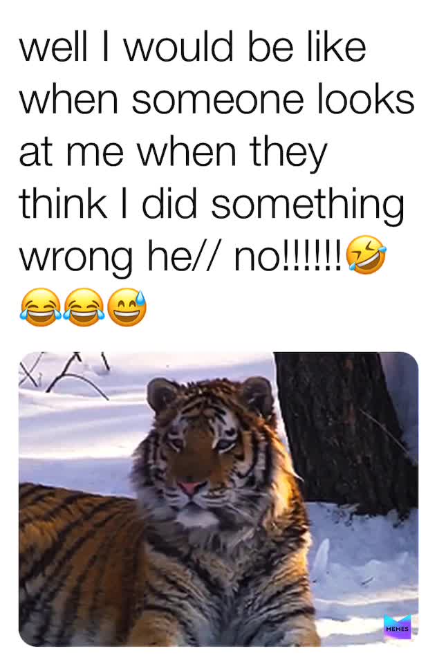 No no no