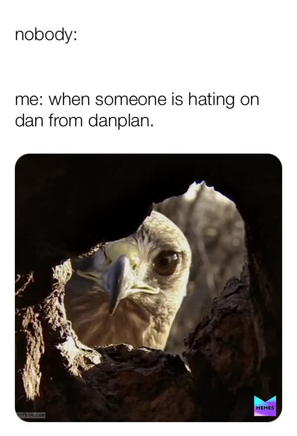 Still STOP hating on dan  #danplan  #danplandan   #nodrama   #sad