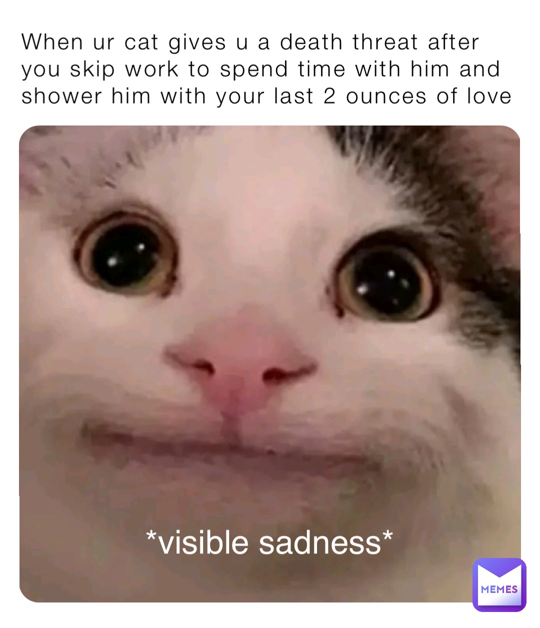 When ur cat gives u a death threat after you skip work to spend time with him and shower him with your last 2 ounces of love *visible sadness*