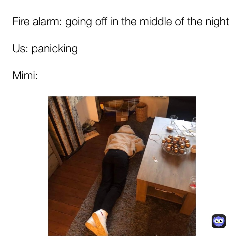 Meme by hanne_pardaens