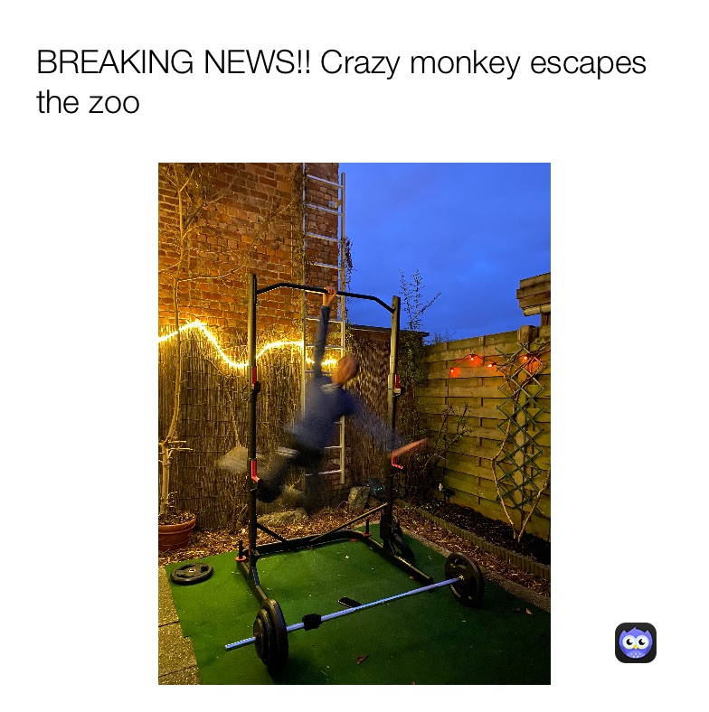 Meme by hanne_pardaens