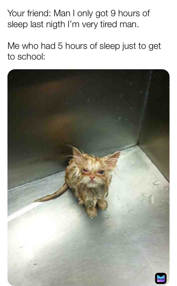 many school kids know this 😂😂