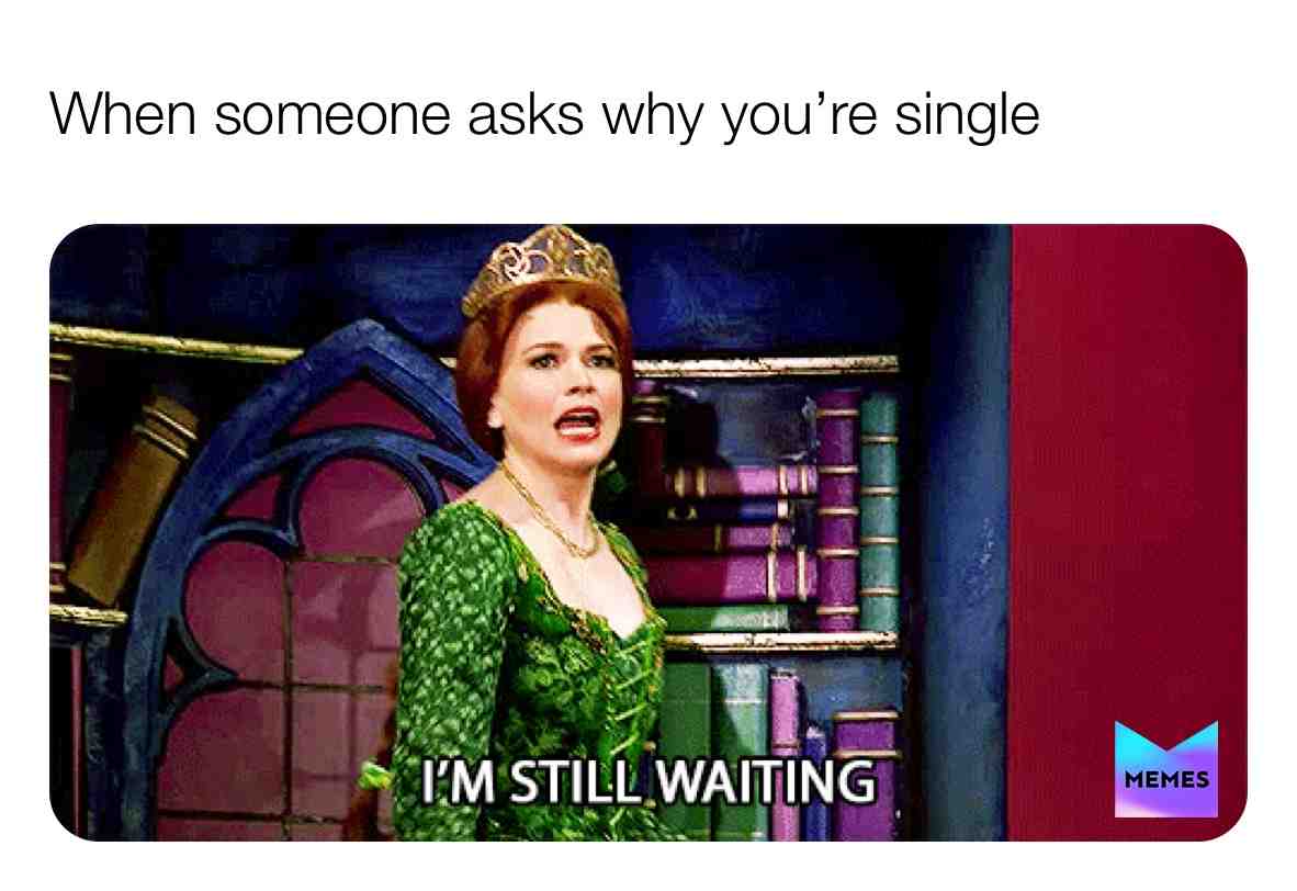 Who else still watches Shrek the Musical?
