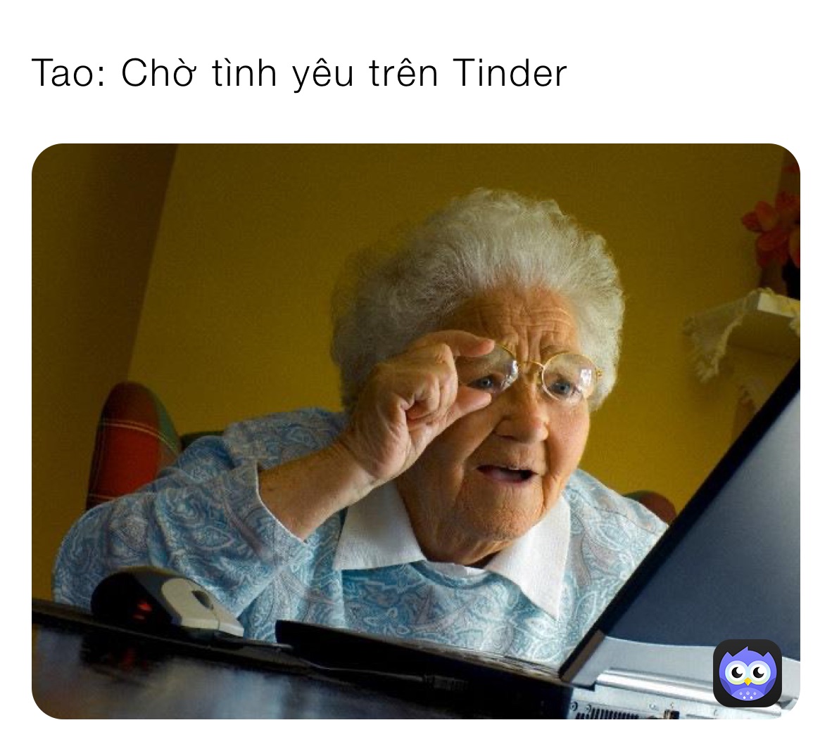 Tao: Chờ tình yêu trên Tinder