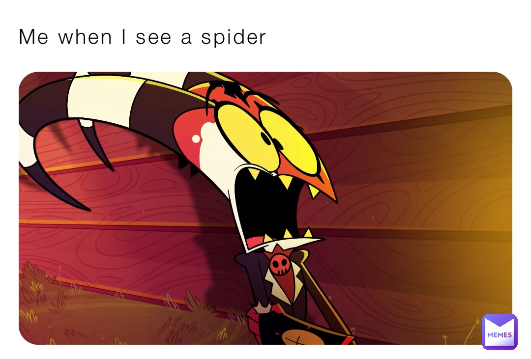 Me when I see a spider