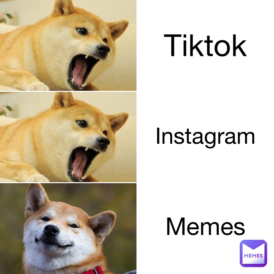 Tiktok Instagram Memes