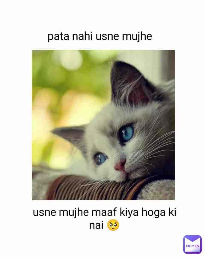 Meme shared by @niraj-nb-singh