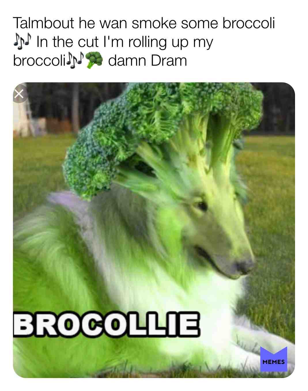 #memes  #teammemes  #funny  #follow