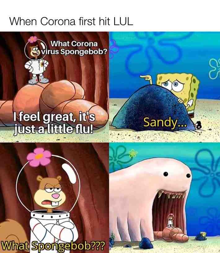 Please like & follow thanks! #Covid-19 #news #lmao #cute #funny #spongebob #cartoons