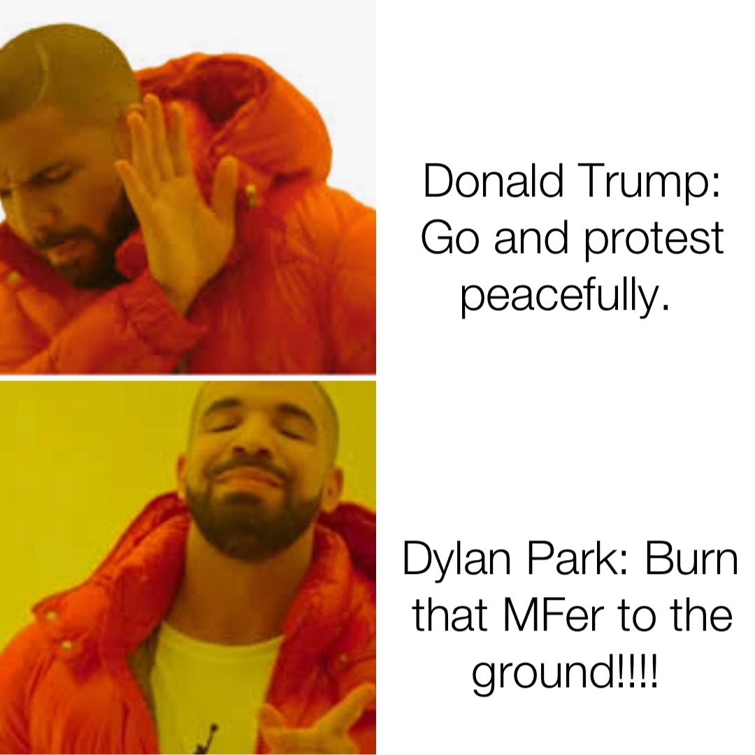 Donald Trump: Go and protest peacefully. Dylan Park: Burn that MFer to the ground!!!!