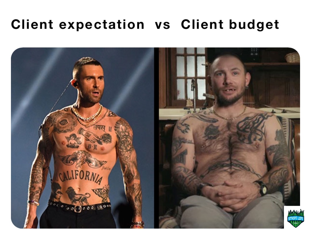 Client expectation  vs  Client budget