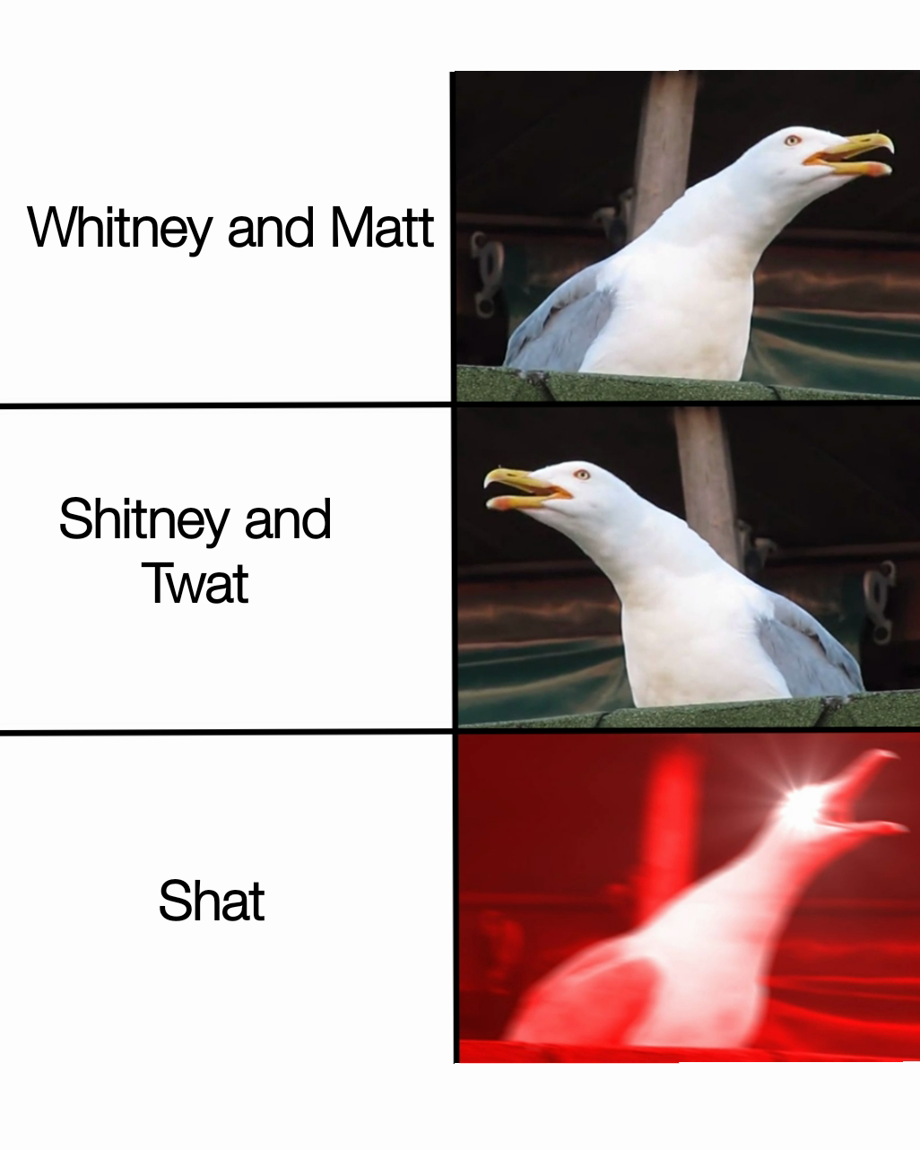 Shitney and Twat Shat Whitney and Matt