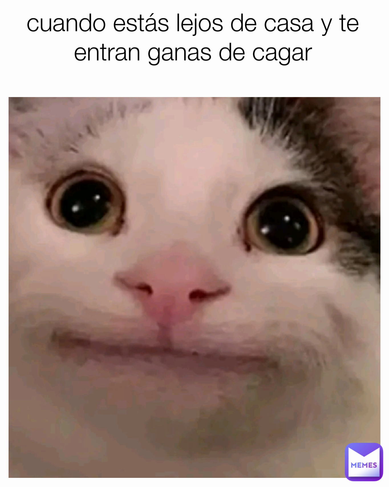 cuando estás lejos de casa y te entran ganas de cagar

