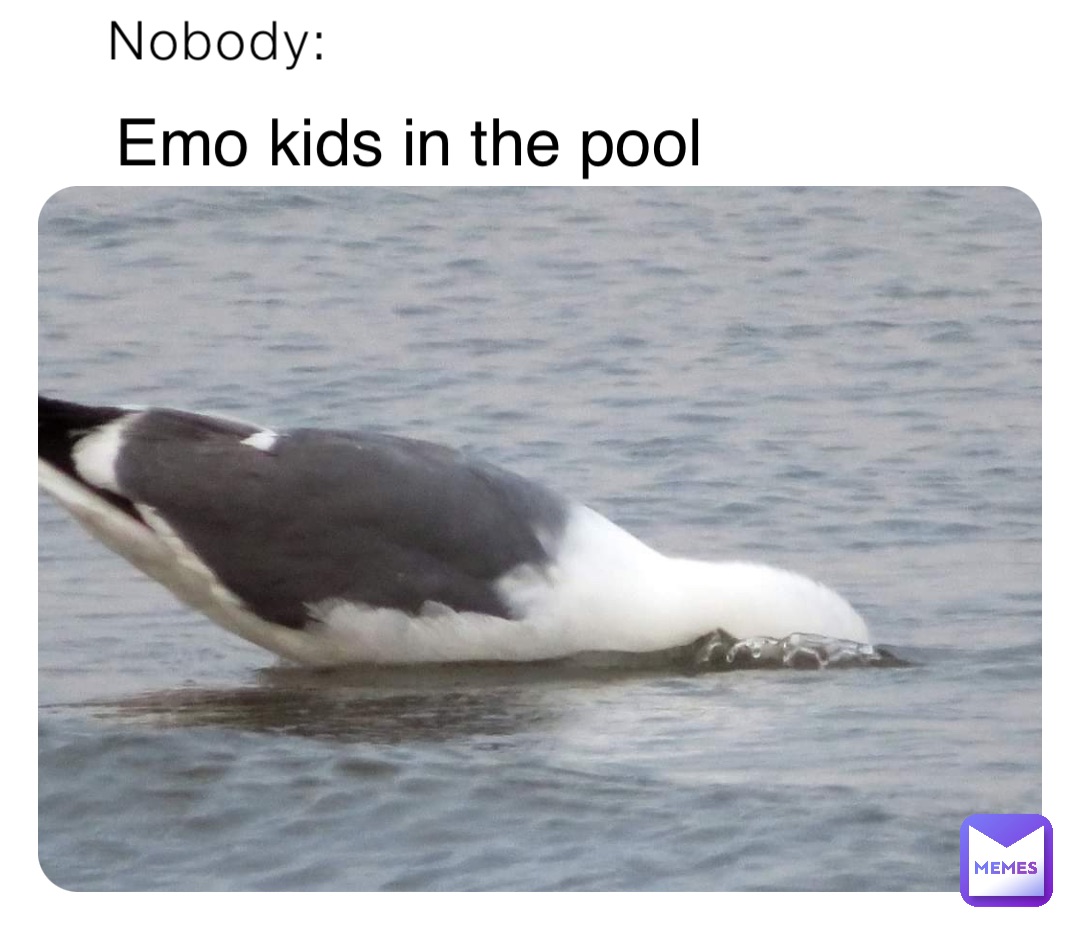 Nobody: Emo kids in the pool