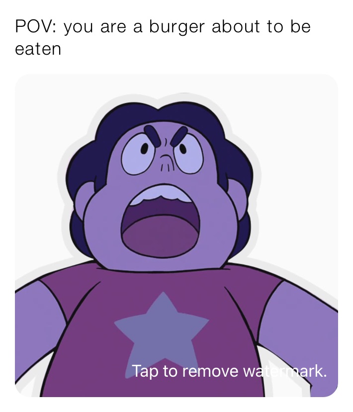 POV: you are a burger about to be eaten