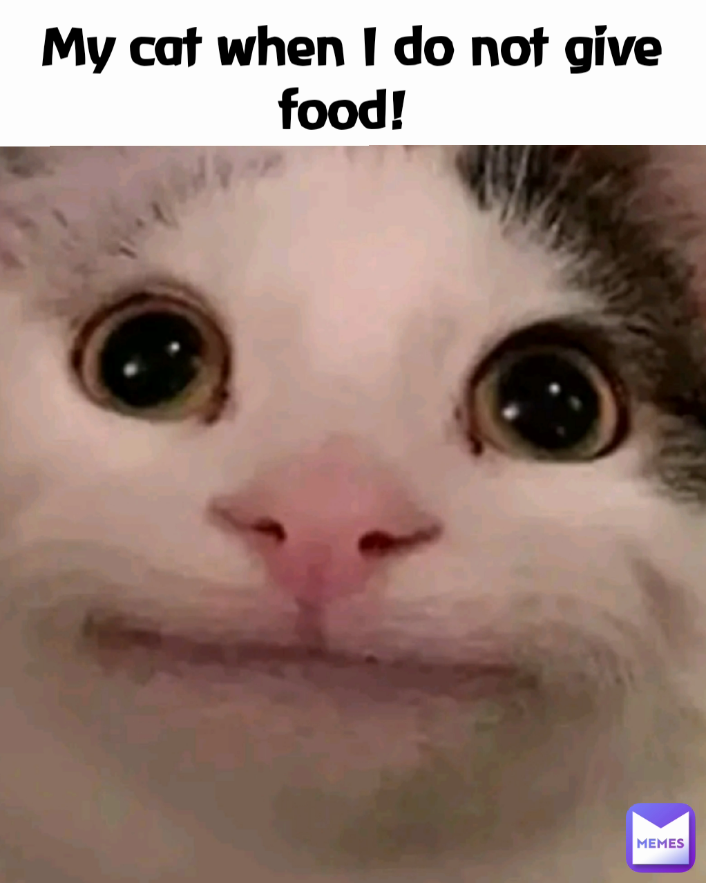 My Cat When I Do Not Give Food 7hp Memes