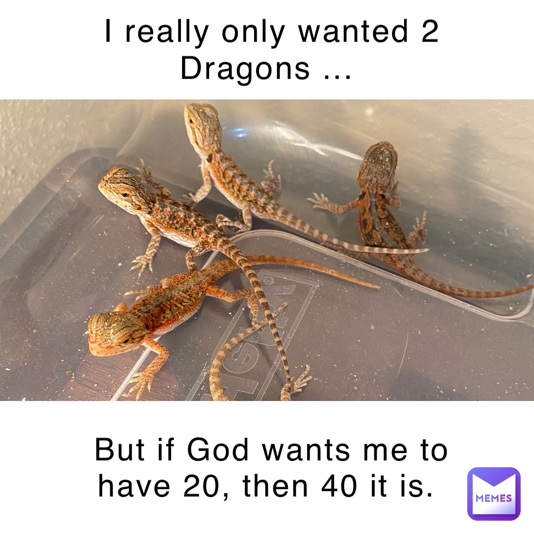 Meme by dragonsmart