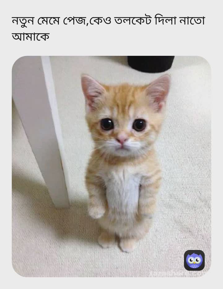 Meme by nil_akaser_tara12