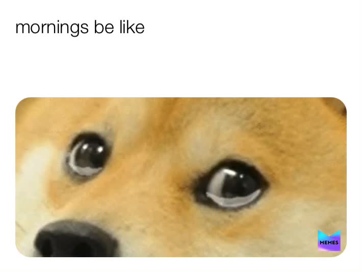 Post by baby_corn_hair Memes