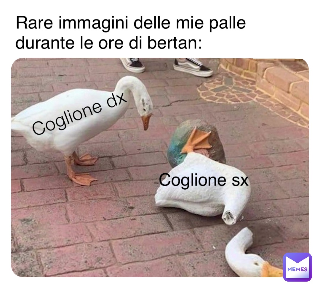 Coglione dx Coglione sx Rare immagini delle mie palle durante le ore di bertan:
