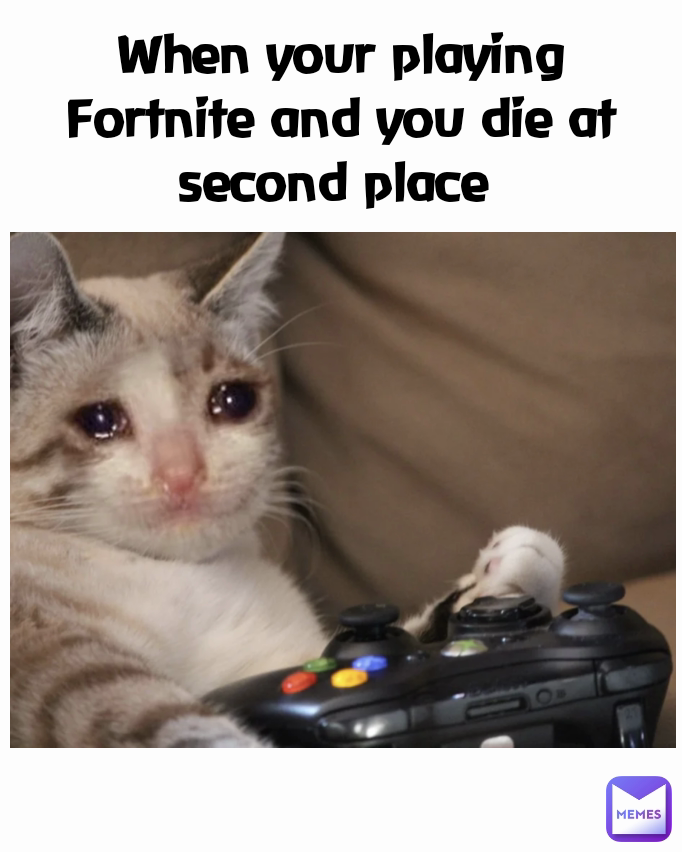 When your playing Fortnite and you die at second place 