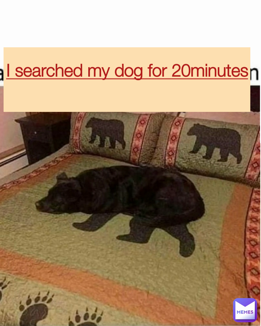 I searched my dog for 20minutes
