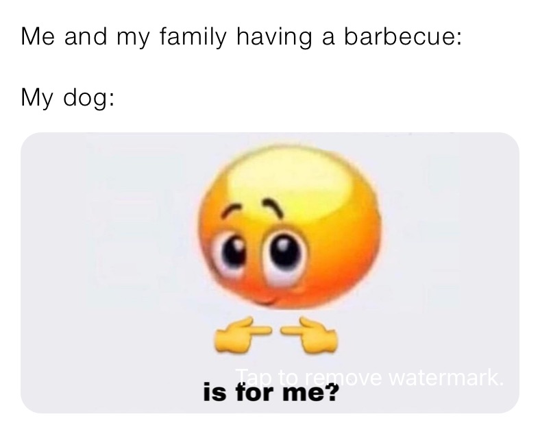 Me and my family having a barbecue:

My dog: