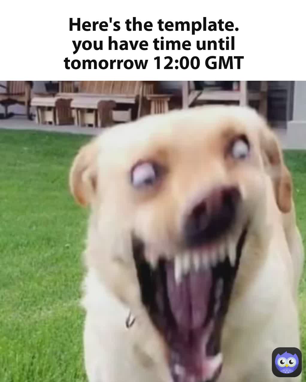 Here's the template. you have time until tomorrow 12:00 GMT