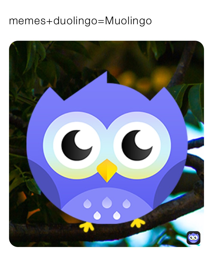 memes+duolingo=Muolingo