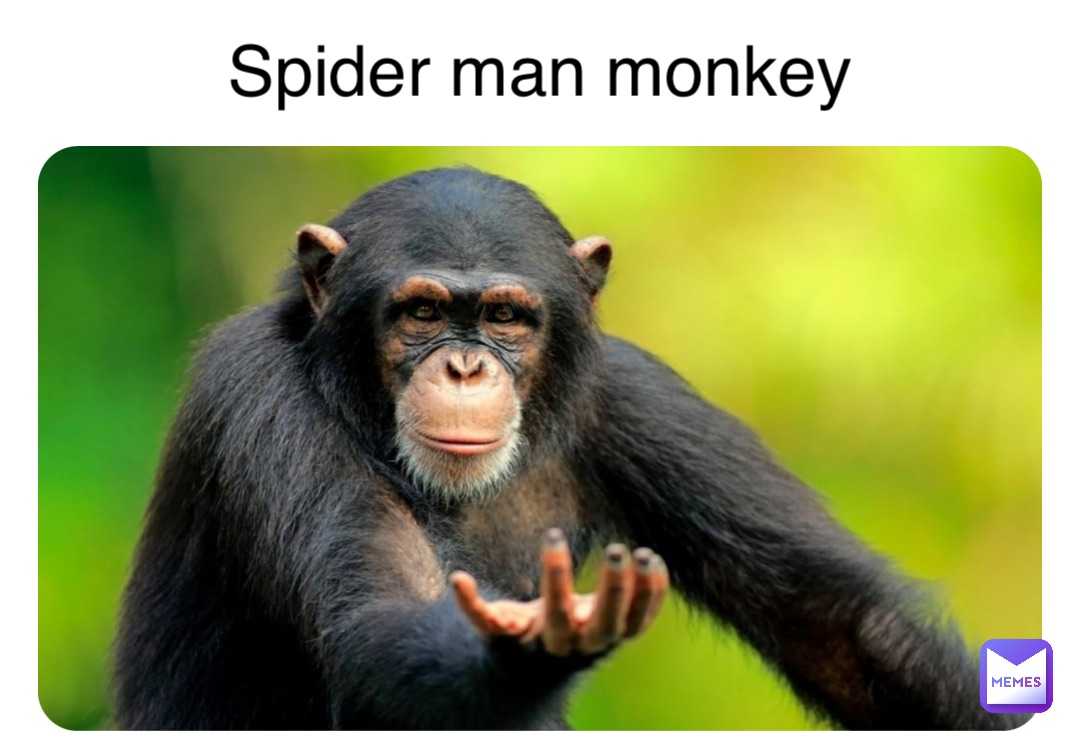Double tap to edit Spider man monkey