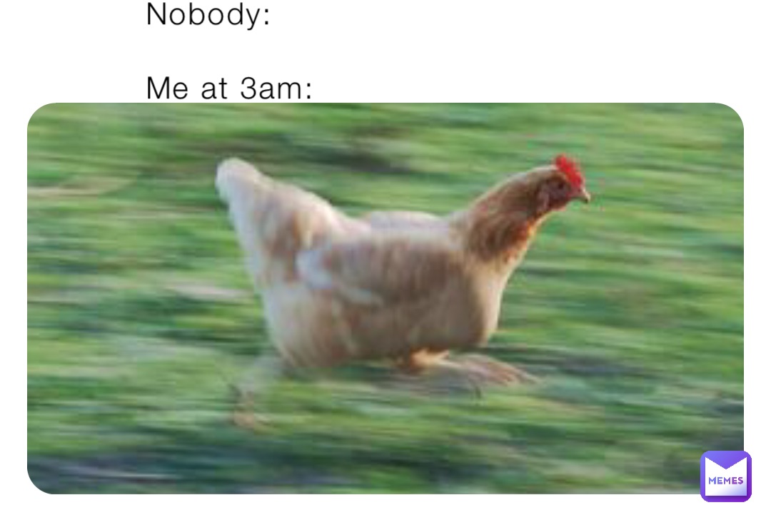 Nobody:

Me at 3am: