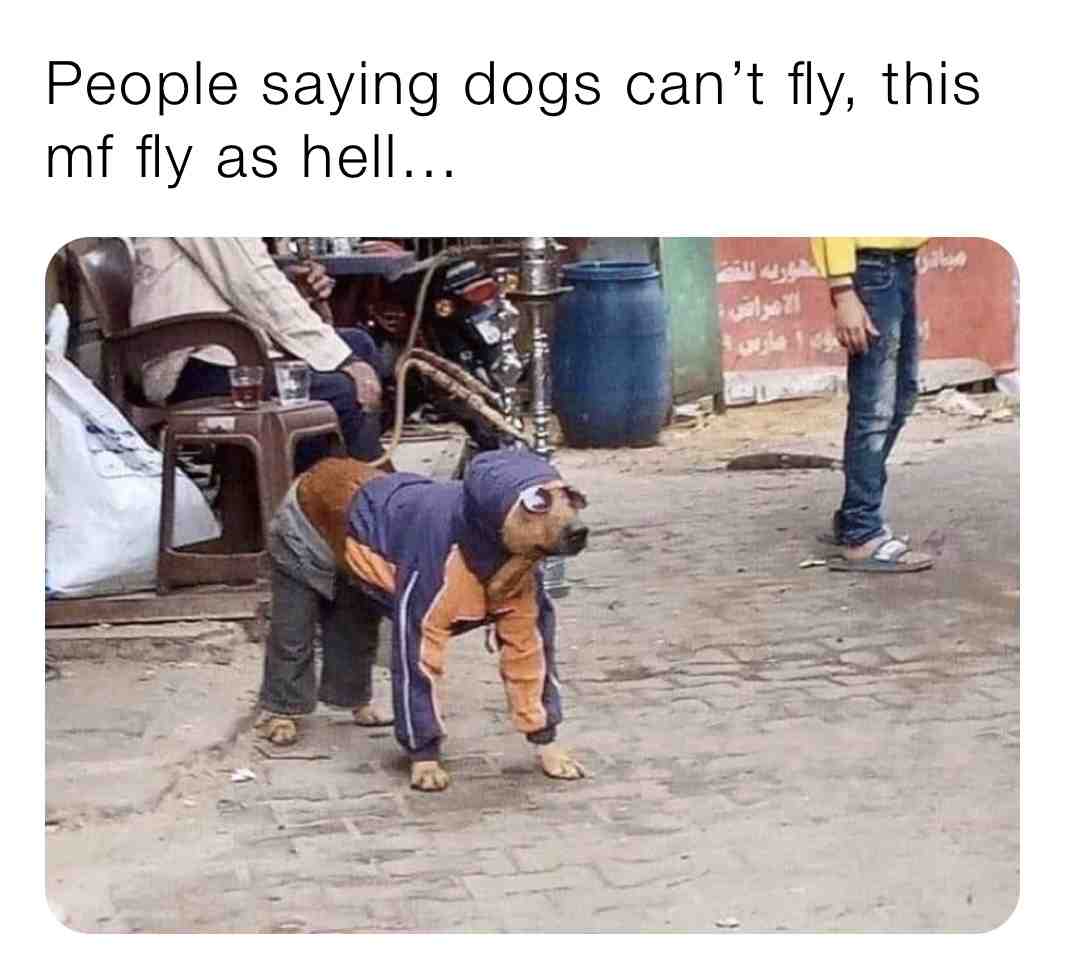 Meme shared by @CATBAT9099