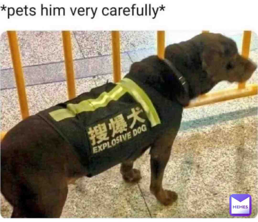 Meme shared by @CATBAT9099