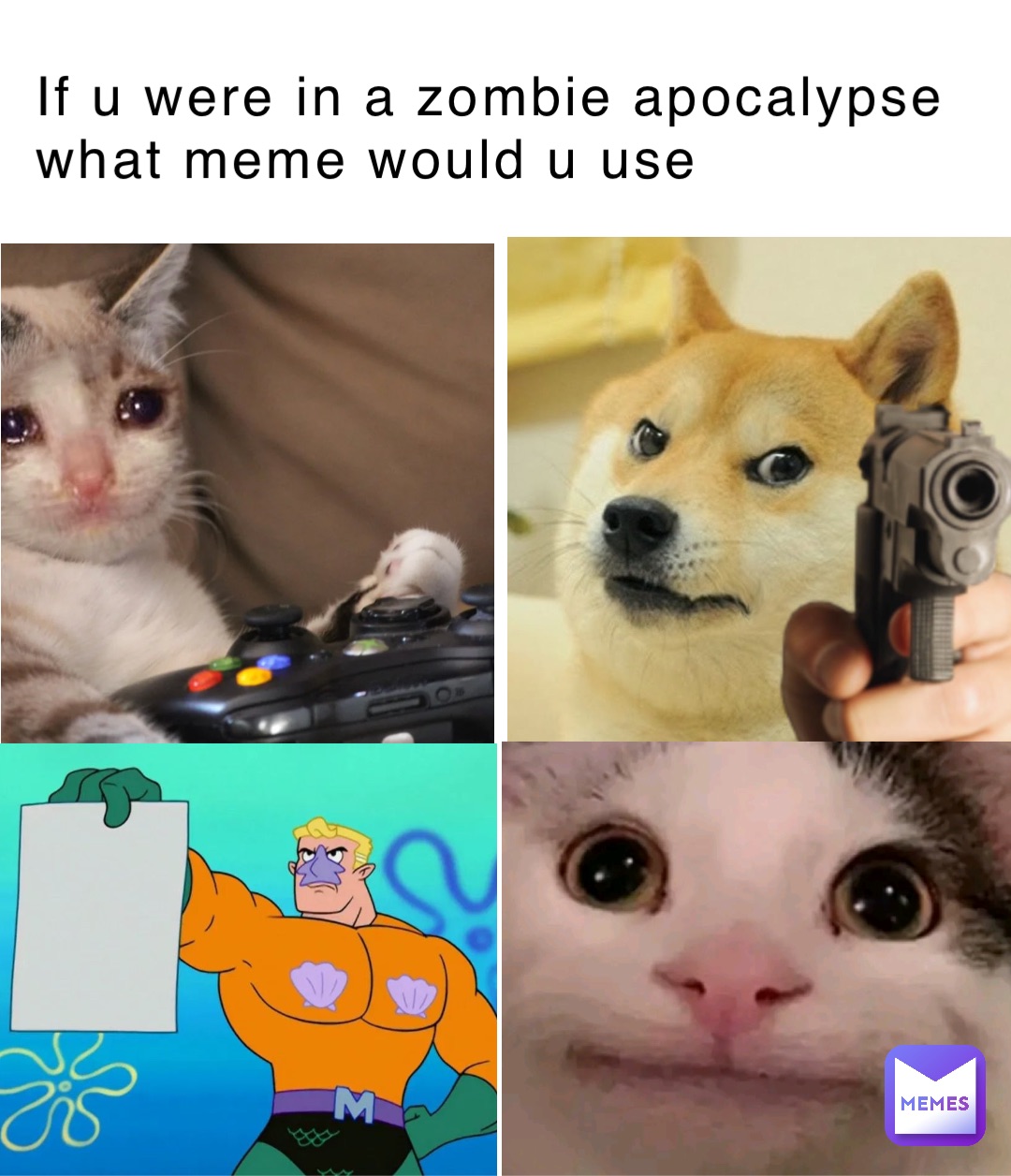 Meme by StarMaster58