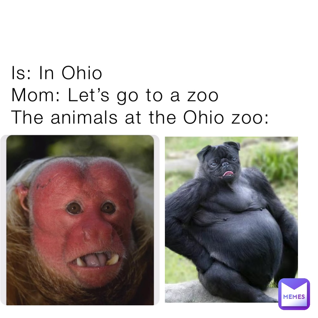 Meme by StarMaster58