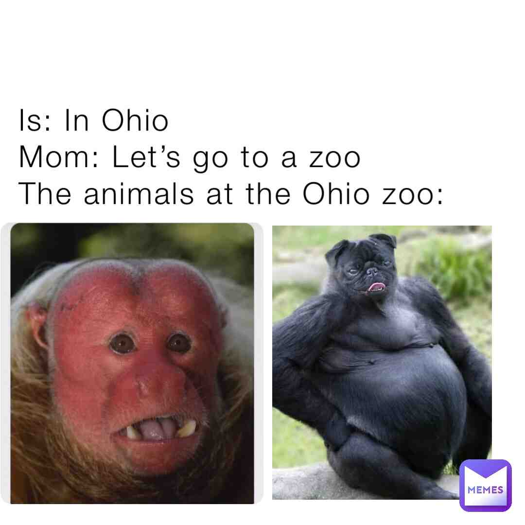 The Ohio zoo  #animals  #ohio