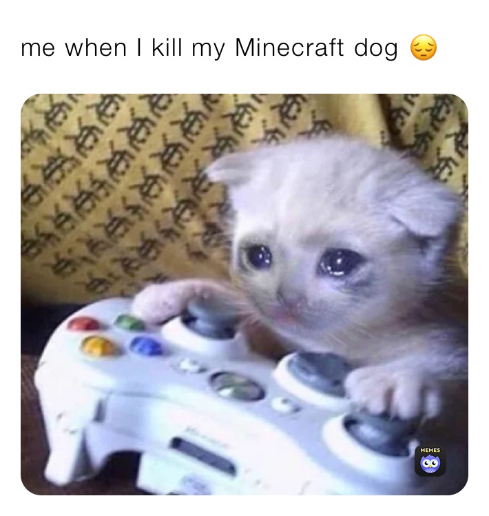 me when I kill my Minecraft dog 😔