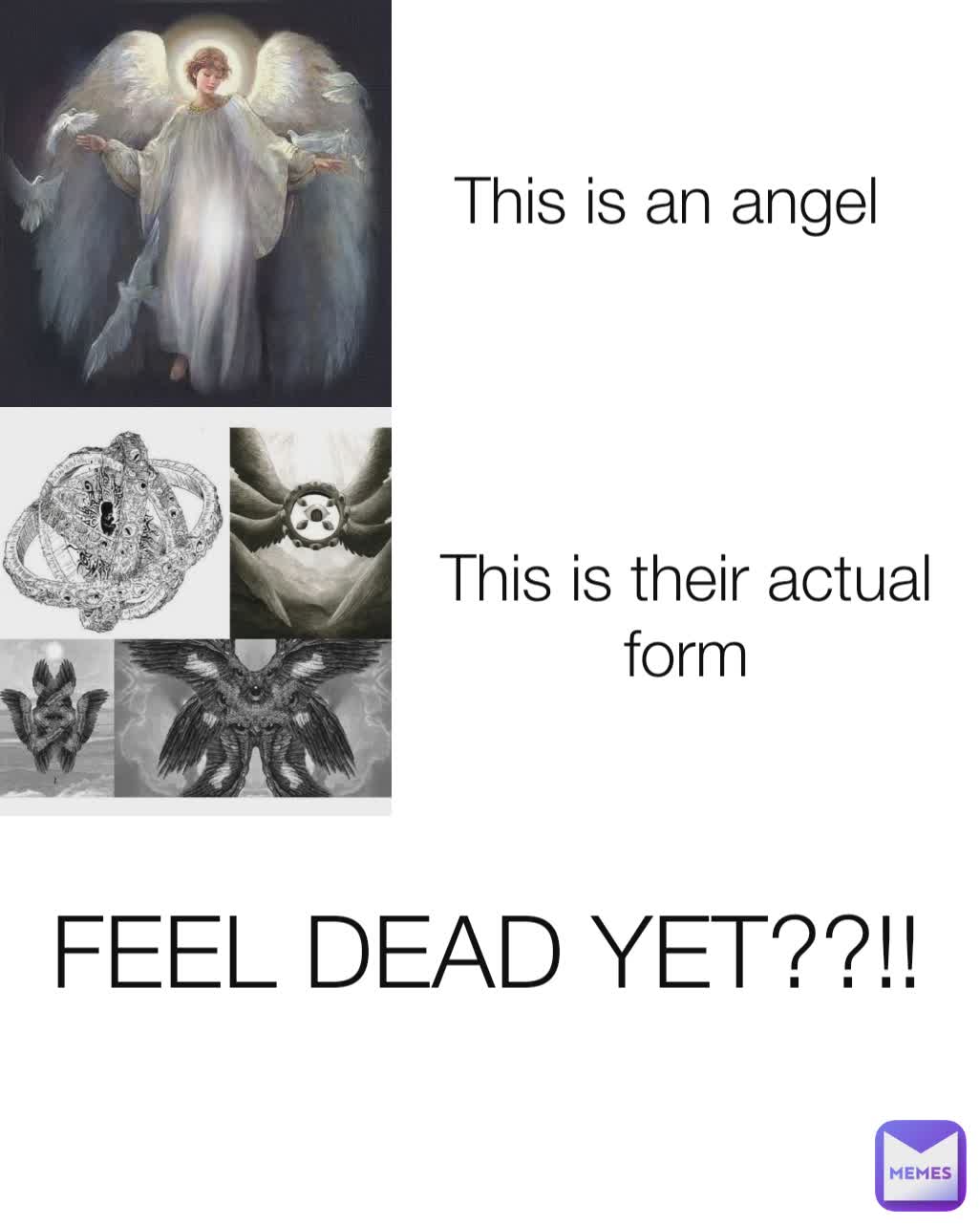 This Is An Angel This Is Their Actual Form Feel Dead Yet Sakdesnatze Memes