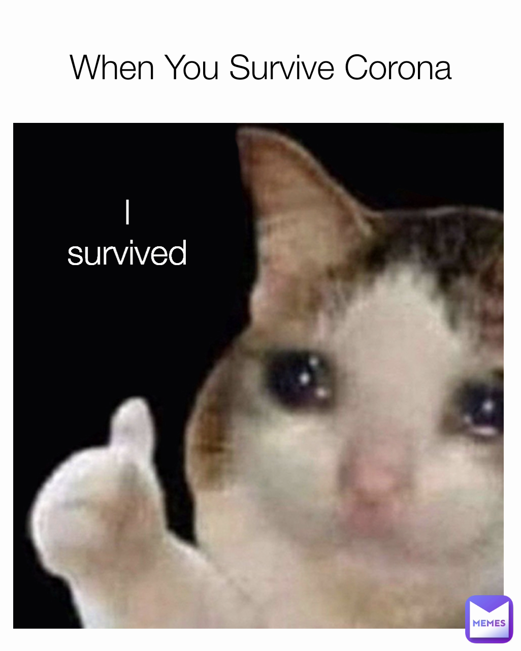 I survived When You Survive Corona