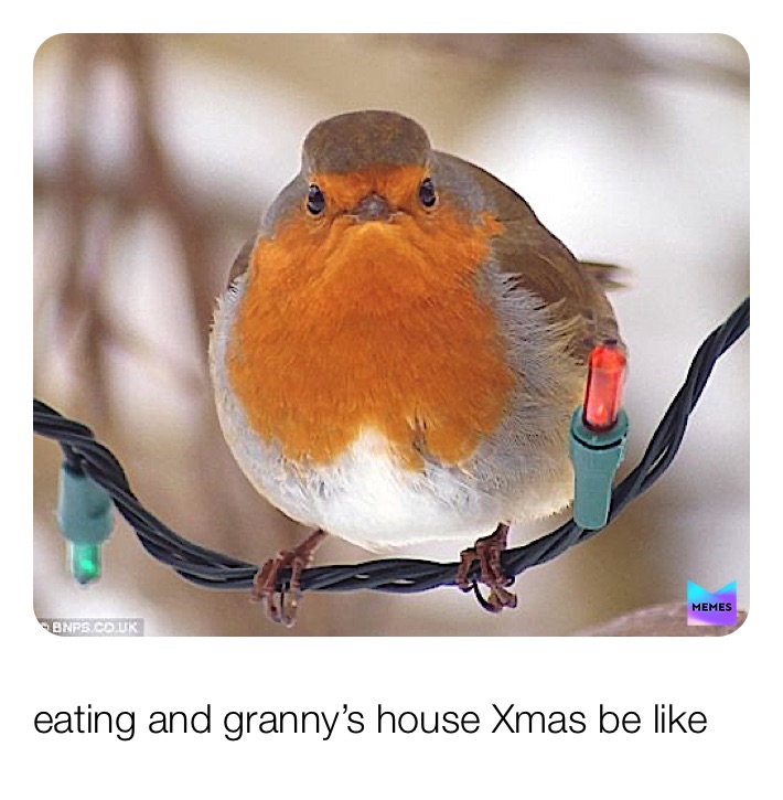 Meme by memer_gurl_gru