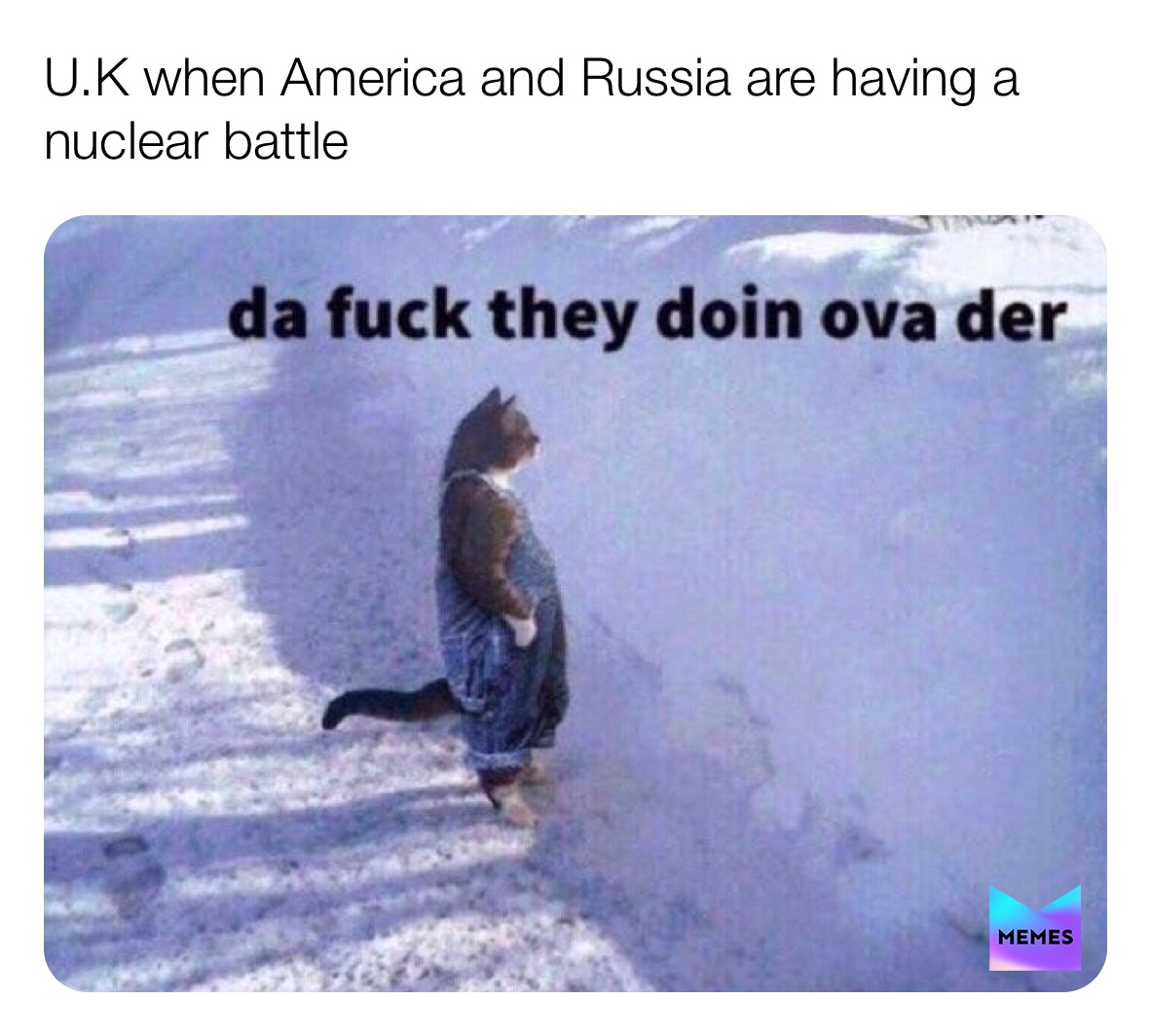 Post By Cerby Uq Memes