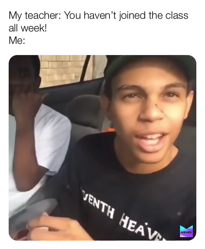 Meme shared by @synical