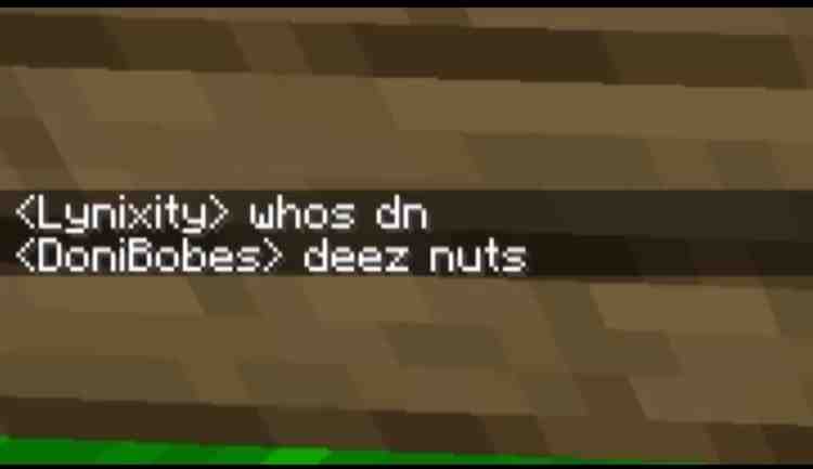 When you play Minecraft with trolls: