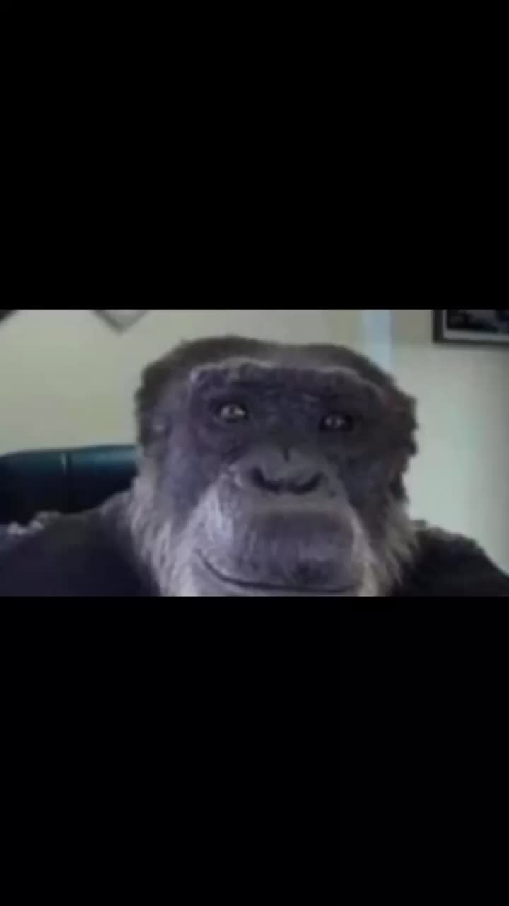 Comment monkeeman64 #discordcringe #monkyman64