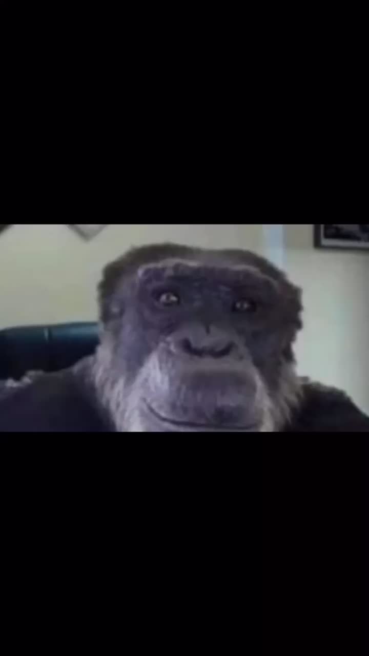 Discord cringe pt.2  #discordcringe #monkyman64