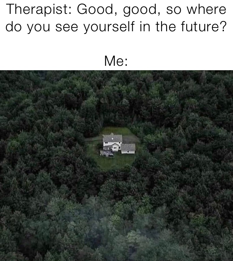Therapist: Good, good, so where do you see yourself in the future? 

Me: