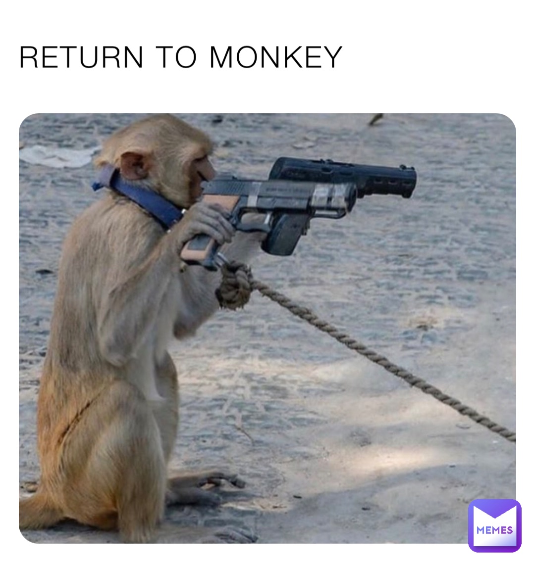 RETURN TO MONKEY