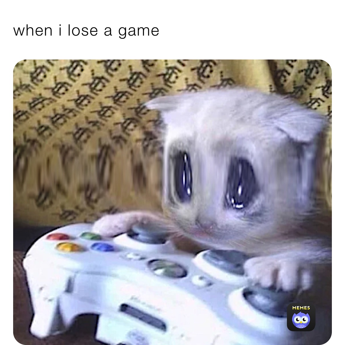 when i lose a game